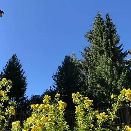 Apartman Le Bijou Zermatt